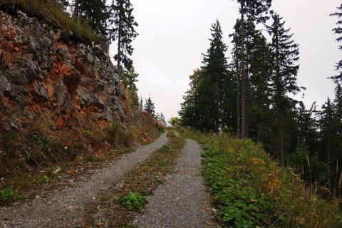 am Forstweg