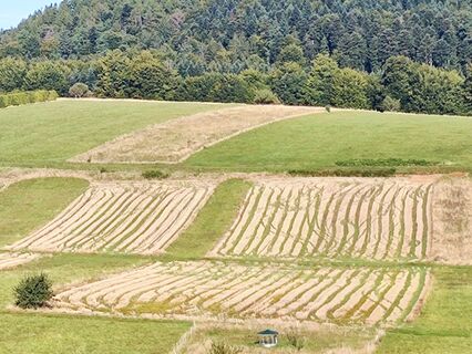 Foto von Essida entlang der Tour