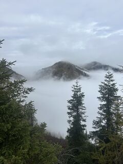 Foto von Carola Krems entlang der Tour