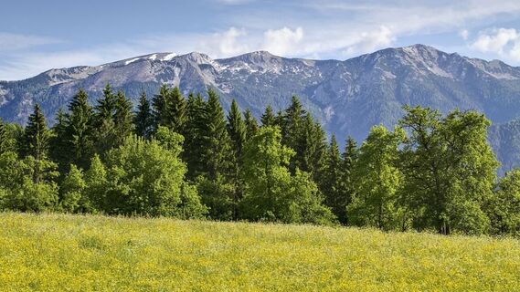 Sengsengebirge