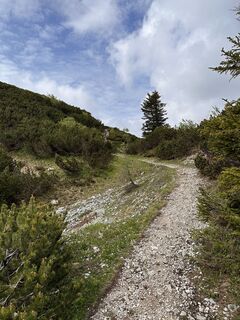 Foto de Babs Holz a lo largo del recorrido
