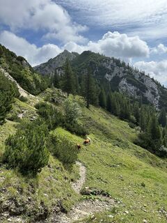Fotó a justasimpleguy honlapról a túra során
