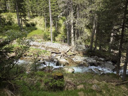 Photo de Timon Bertignoll le long du parcours