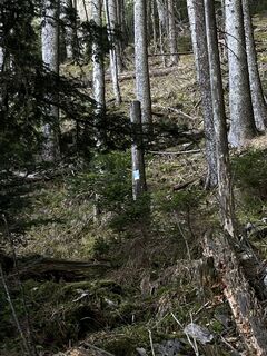 Photo de Aurelian Böhler le long du parcours