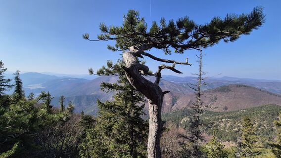 Zdjęcie z Patrick82 wzdłuż trasy