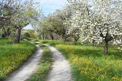Durch Streuobswiesen auf dem Weg zum Ostlandkreuz