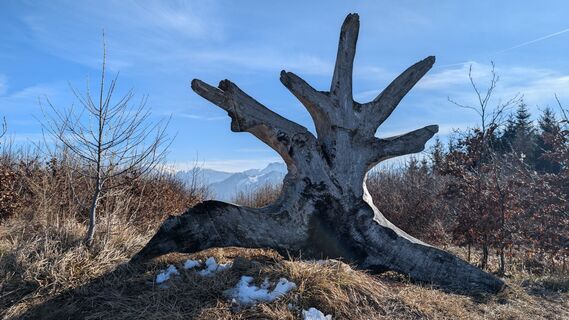 Fotografie z Klaus Lehner na trase