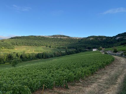Foto de Hans van der Meij a lo largo del recorrido