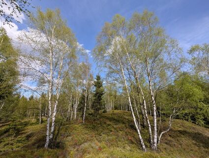 Foto von Floppy 1 entlang der Tour