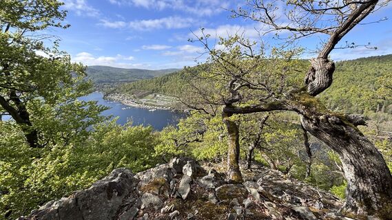 Photo de Eva T. le long du parcours