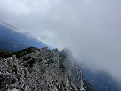 Foto von Heikoala entlang der Tour