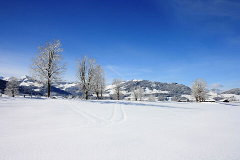 MakingOf-WinterImage Westendorf11.JPG