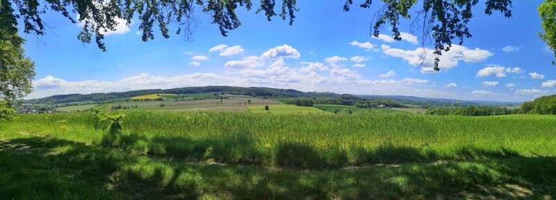 Aussicht am Westerberg (zwischen Kollerbeck und Schwalenberg)