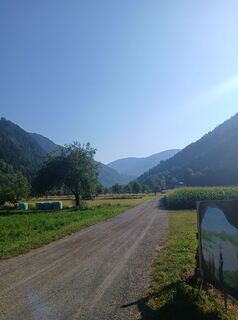 Foto de Gerald S. Widmann a lo largo del recorrido