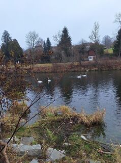 Foto de Mimi a lo largo del recorrido