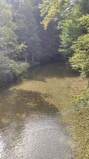 Photo de Adi Lechner le long du parcours