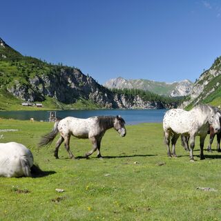 Tappenkarsee