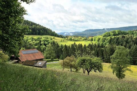 Ausblick oberhalb des Schwenkenhofs ins Kinzigtal