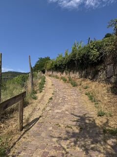 Photo de Adnan Cemal le long du parcours