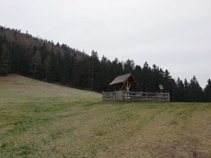 Mostbrunnen 2