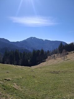 Photo de Miha Gros le long du parcours