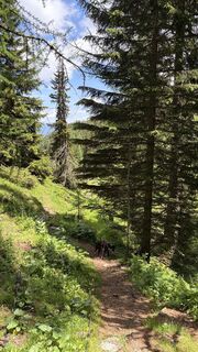 Foto von Merel van Holstein entlang der Tour