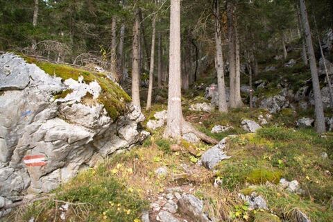 immer der Markierung steil hinauf!