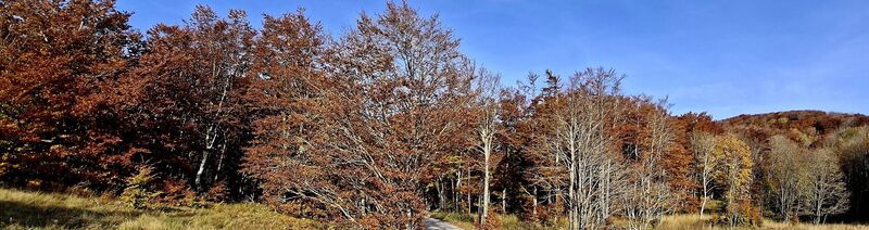 Foto fra Bob Moh underveis på turen