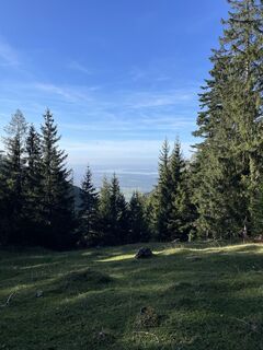 Fotografia z lotharkoerner na trase