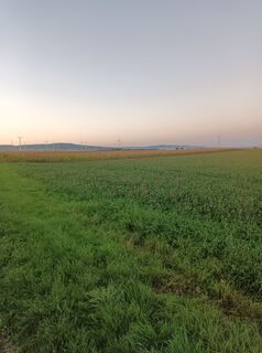 Fotografia z Gürtler Lubomir na trase