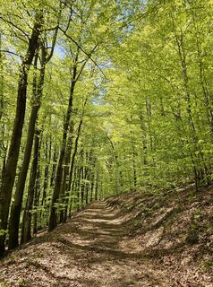 Zdjęcie z Volker Wagener wzdłuż trasy