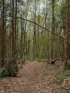 Photo de Poe Michi le long du parcours