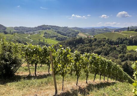 Südsteiermark