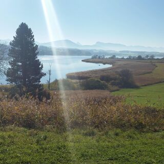 Ausblick auf den Wallersee