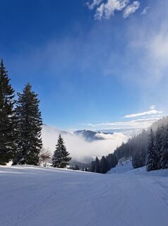 Foto da Michael Rohrmoser lungo il tour