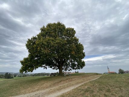 Fotografie z Sven Krieblin na trase