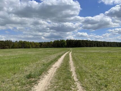 Zemljevid
