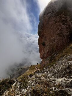 Fotografija s spletne strani Mel Pro na poti