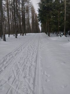 Foto von Thomas Neubert entlang der Tour