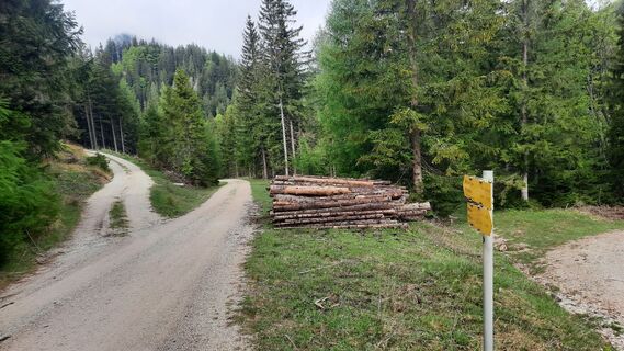 Foto von Bernd Wieseneder entlang der Tour