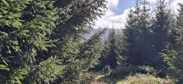 Fotografija s spletne strani Jörg Rost na poti