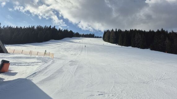 Fotografija s spletne strani Alfred Thaler na poti