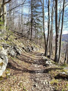 Fotografia z ReginaSt na trase