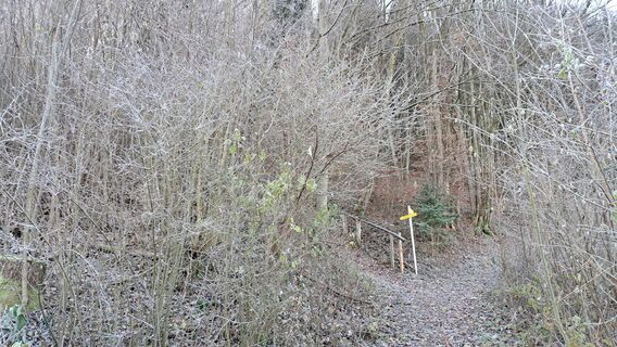 Übergang nach Warth