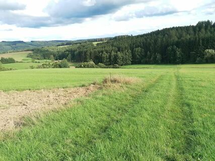 Wiesenpfad Köhlerweg