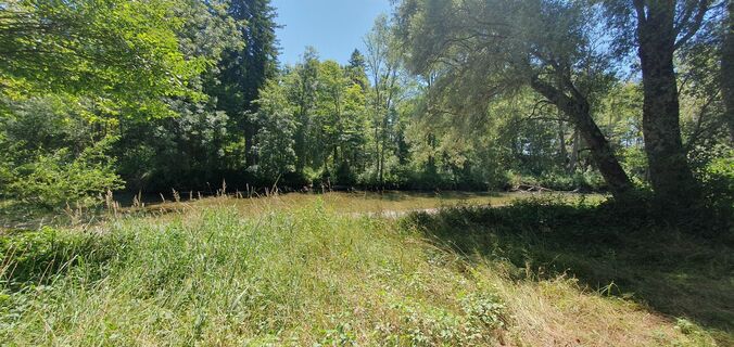 Fotografia z garrincha na trase