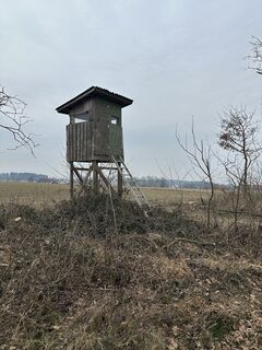 Fotografija s spletne strani Babs Holz na poti