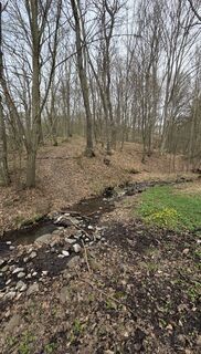 Foto von János Zsolt Mahr entlang der Tour