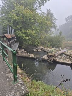 Fotografia z schwert na trase