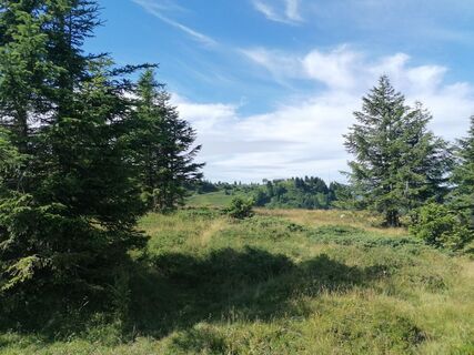 Foto von Turbinio entlang der Tour